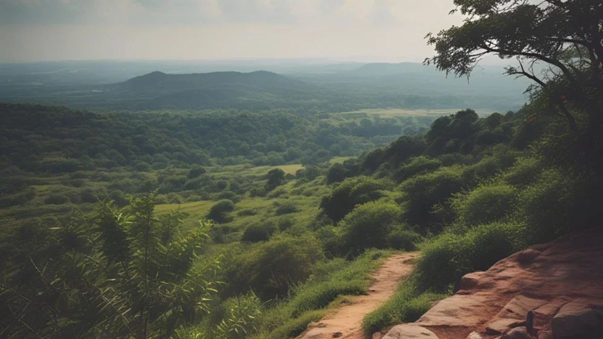 Ananthagiri Hills - Attractions, Best Time to Visit, Location & Things to Do