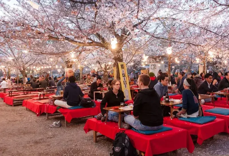 Best Cherry Blossom Festivals in Japan: Top Sakura Events to Experience